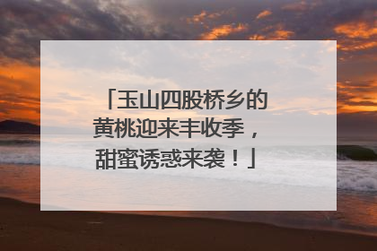 玉山四股桥乡的黄桃迎来丰收季，甜蜜诱惑来袭！