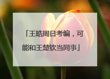 王皓周日考编，可能和王楚钦当同事