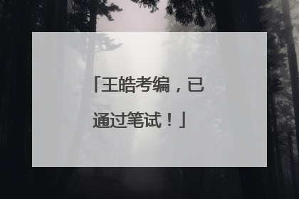 王皓考编，已通过笔试！