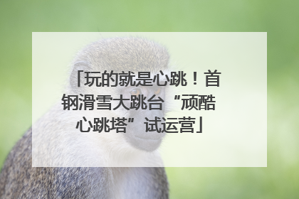 玩的就是心跳！首钢滑雪大跳台“顽酷心跳塔”试运营