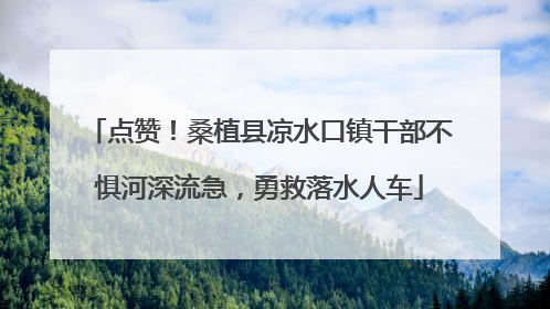 点赞！桑植县凉水口镇干部不惧河深流急，勇救落水人车
