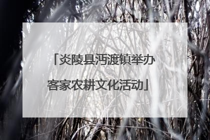 炎陵县沔渡镇举办客家农耕文化活动