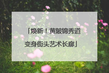 焕新！黄陂锦秀道变身街头艺术长廊