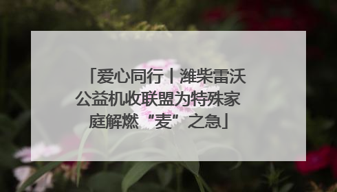 爱心同行丨潍柴雷沃公益机收联盟为特殊家庭解燃“麦”之急