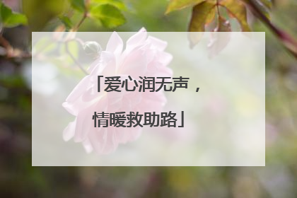 爱心润无声，情暖救助路