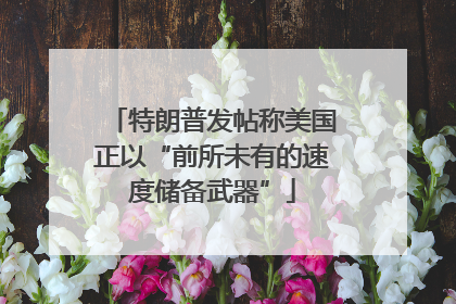 特朗普发帖称美国正以“前所未有的速度储备武器”