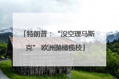 特朗普：“没空理马斯克” 欧洲抛橄榄枝