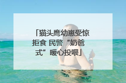 猫头鹰幼崽受惊拒食 民警“奶爸式”暖心投喂
