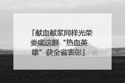 献血献浆同样光荣 娄底这群“热血英雄”获全省表彰