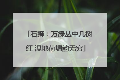 石狮：万绿丛中几树红 湿地荷塘韵无穷