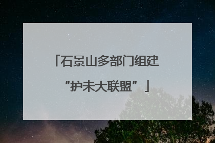 石景山多部门组建“护未大联盟”