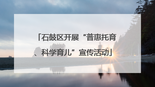 石鼓区开展“普惠托育、科学育儿”宣传活动