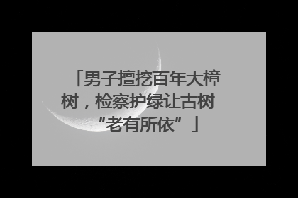 男子擅挖百年大樟树，检察护绿让古树“老有所依”