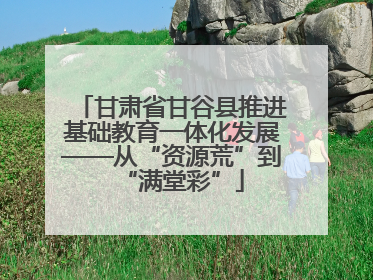 甘肃省甘谷县推进基础教育一体化发展——从“资源荒”到“满堂彩”