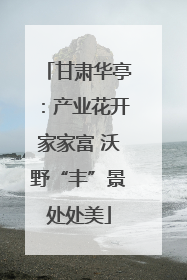 甘肃华亭：产业花开家家富 沃野“丰”景处处美