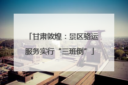 甘肃敦煌：景区骆运服务实行“三班倒”