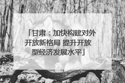 甘肃：加快构建对外开放新格局 提升开放型经济发展水平