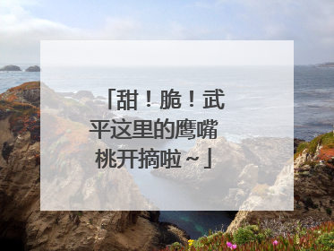 甜！脆！武平这里的鹰嘴桃开摘啦～