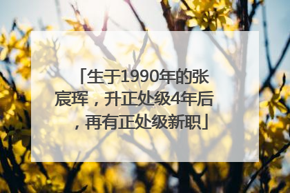 生于1990年的张宸珲，升正处级4年后，再有正处级新职