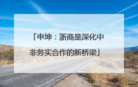 申坤：浙商是深化中非务实合作的新桥梁