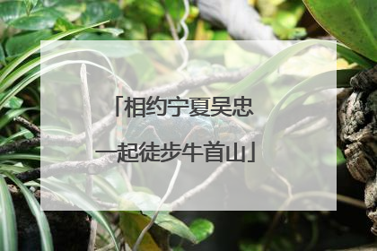 相约宁夏吴忠 一起徒步牛首山