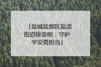盐城盐都区盐渎街道徐亚明：守护平安勇担当
