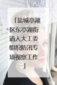 盐城亭湖区东亭湖街道人大工委组织防汛专项视察工作