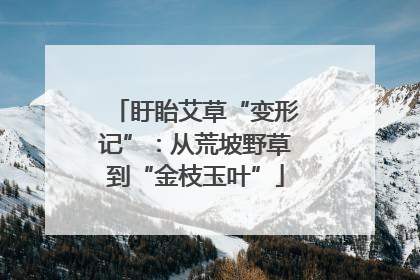 盱眙艾草“变形记”：从荒坡野草到“金枝玉叶”