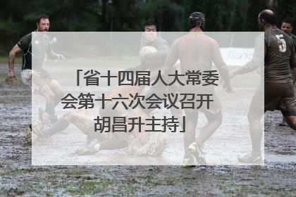 省十四届人大常委会第十六次会议召开 胡昌升主持