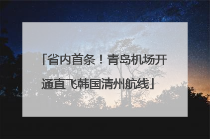 省内首条！青岛机场开通直飞韩国清州航线