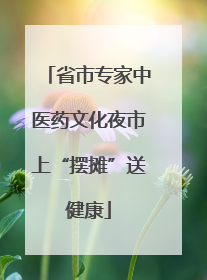 省市专家中医药文化夜市上“摆摊”送健康