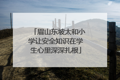 眉山东坡太和小学让安全知识在学生心里深深扎根