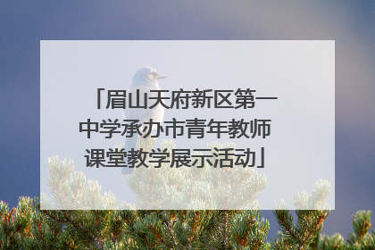 眉山天府新区第一中学承办市青年教师课堂教学展示活动