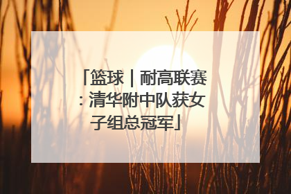 篮球｜耐高联赛：清华附中队获女子组总冠军