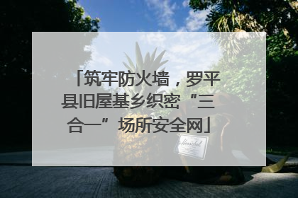 筑牢防火墙，罗平县旧屋基乡织密“三合一”场所安全网