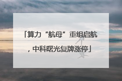 算力“航母”重组启航，中科曙光复牌涨停