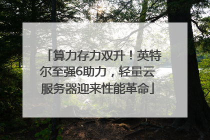 算力存力双升！英特尔至强6助力，轻量云服务器迎来性能革命