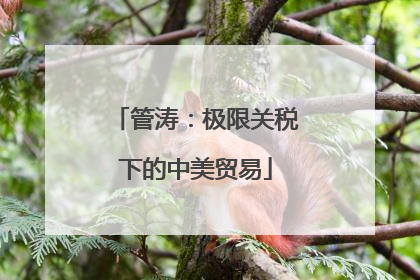 管涛：极限关税下的中美贸易