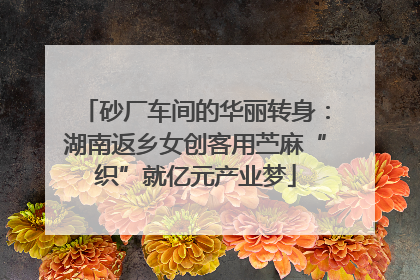 砂厂车间的华丽转身：湖南返乡女创客用苎麻“织”就亿元产业梦