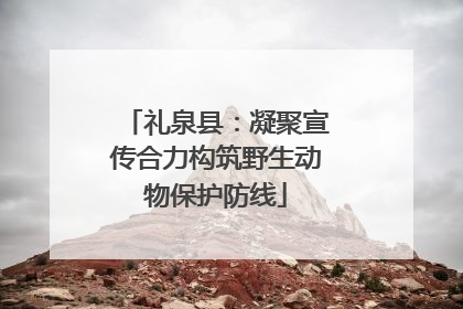 礼泉县：凝聚宣传合力构筑野生动物保护防线