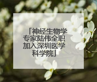 神经生物学专家陆伟全职加入深圳医学科学院
