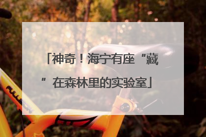 神奇！海宁有座“藏”在森林里的实验室