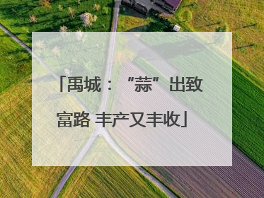 禹城：“蒜”出致富路 丰产又丰收