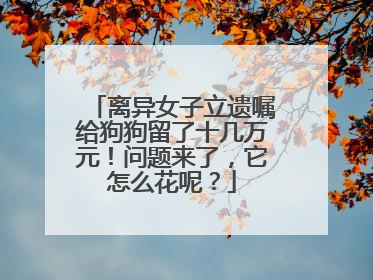 离异女子立遗嘱给狗狗留了十几万元！问题来了，它怎么花呢？