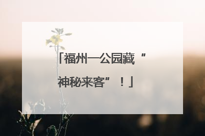 福州一公园藏“神秘来客”！