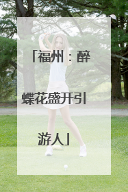 福州：醉蝶花盛开引游人