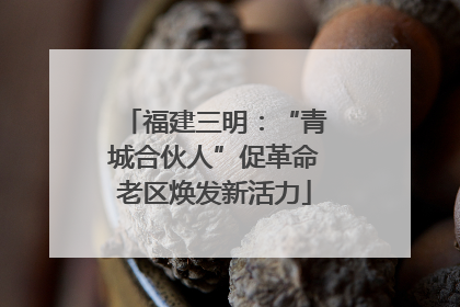 福建三明：“青城合伙人”促革命老区焕发新活力
