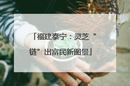 福建泰宁：灵芝“链”出富民新图景