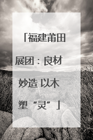 福建莆田展团：良材妙造 以木塑“灵”