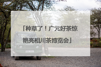 种草了！广元好茶惊艳亮相川茶博览会